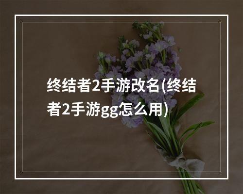 终结者2手游改名(终结者2手游gg怎么用)