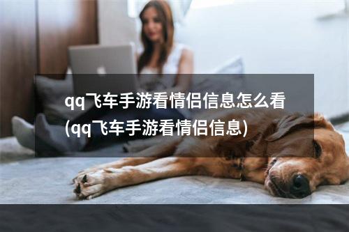 qq飞车手游看情侣信息怎么看(qq飞车手游看情侣信息)