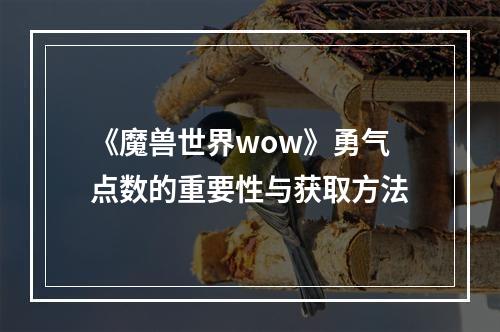 《魔兽世界wow》勇气点数的重要性与获取方法