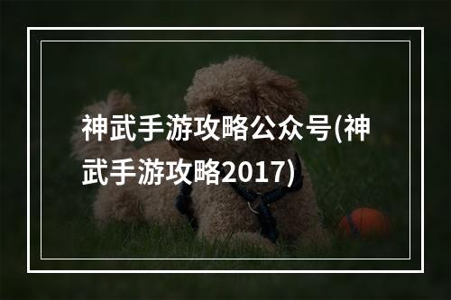 神武手游攻略公众号(神武手游攻略2017)