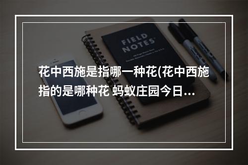 花中西施是指哪一种花(花中西施指的是哪种花 蚂蚁庄园今日答案12月26日)