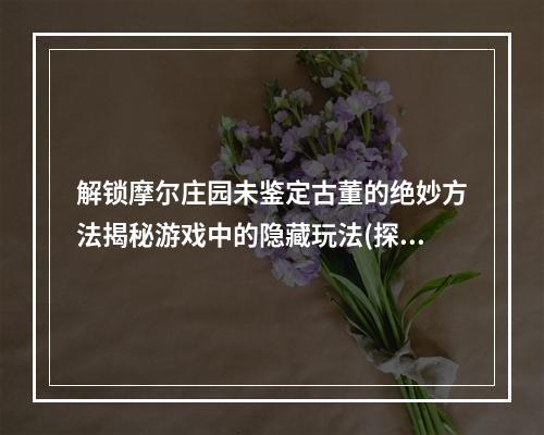 解锁摩尔庄园未鉴定古董的绝妙方法揭秘游戏中的隐藏玩法(探究出题人心理)