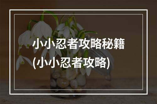 小小忍者攻略秘籍(小小忍者攻略)