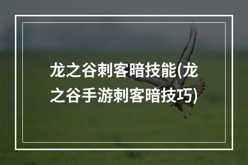 龙之谷刺客暗技能(龙之谷手游刺客暗技巧)