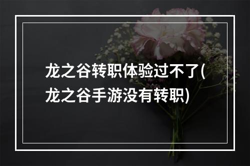 龙之谷转职体验过不了(龙之谷手游没有转职)