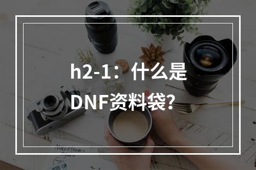 h2-1：什么是DNF资料袋？