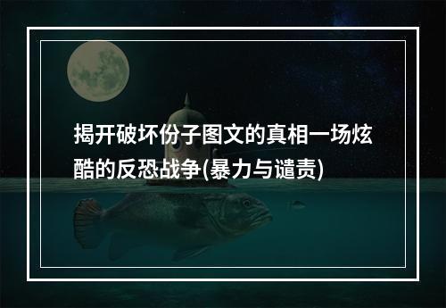 揭开破坏份子图文的真相一场炫酷的反恐战争(暴力与谴责)