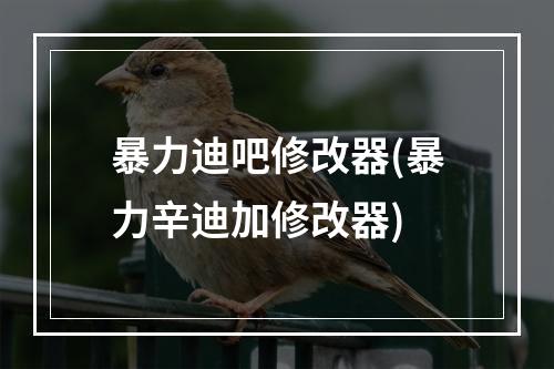 暴力迪吧修改器(暴力辛迪加修改器)