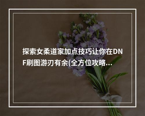 探索女柔道家加点技巧让你在DNF刷图游刃有余(全方位攻略)