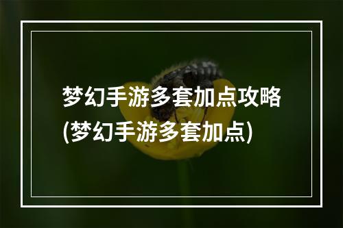 梦幻手游多套加点攻略(梦幻手游多套加点)