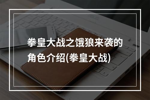 拳皇大战之饿狼来袭的角色介绍(拳皇大战)