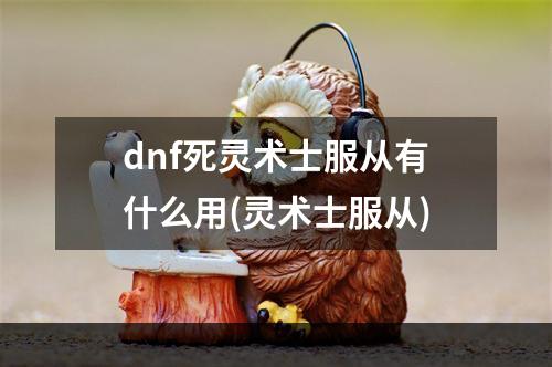 dnf死灵术士服从有什么用(灵术士服从)