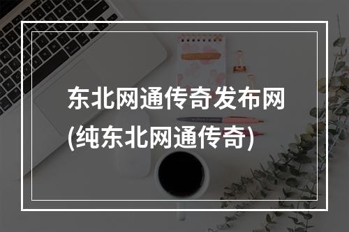 东北网通传奇发布网(纯东北网通传奇)