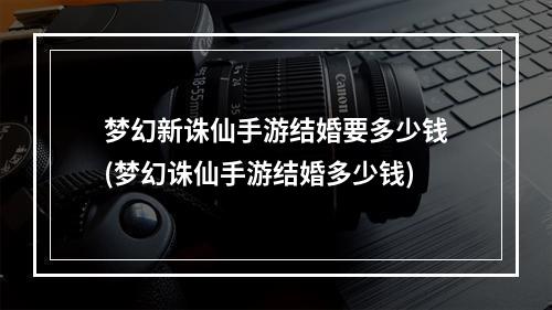 梦幻新诛仙手游结婚要多少钱(梦幻诛仙手游结婚多少钱)