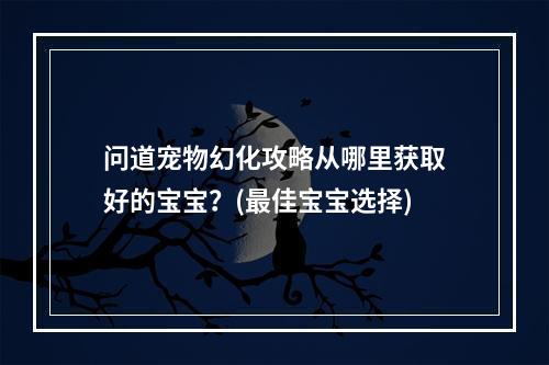 问道宠物幻化攻略从哪里获取好的宝宝？(最佳宝宝选择)