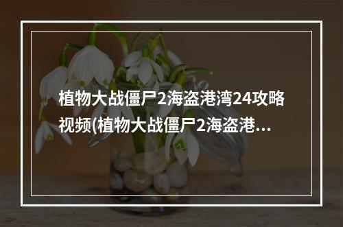 植物大战僵尸2海盗港湾24攻略视频(植物大战僵尸2海盗港湾加农炮之战第2天图文攻略)