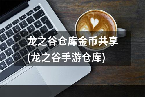 龙之谷仓库金币共享(龙之谷手游仓库)