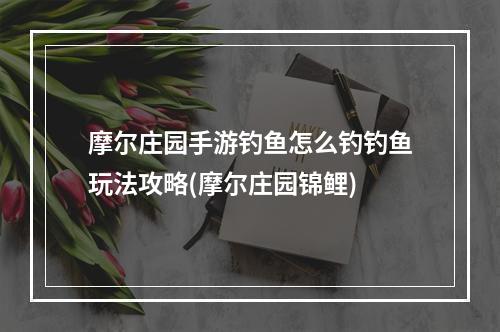 摩尔庄园手游钓鱼怎么钓钓鱼玩法攻略(摩尔庄园锦鲤)