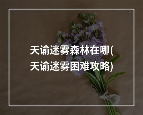 天谕迷雾森林在哪(天谕迷雾困难攻略)