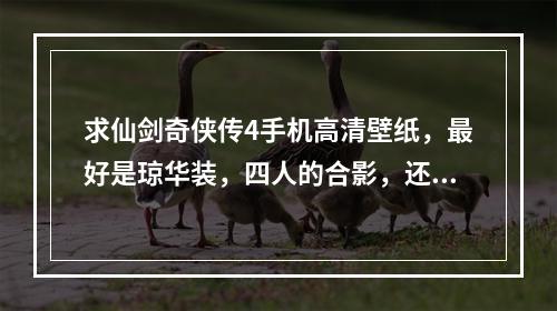 求仙剑奇侠传4手机高清壁纸，最好是琼华装，四人的合影，还有单人的，要多的(仙剑奇侠传壁纸)