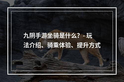 九阴手游坐骑是什么？- 玩法介绍、骑乘体验、提升方式