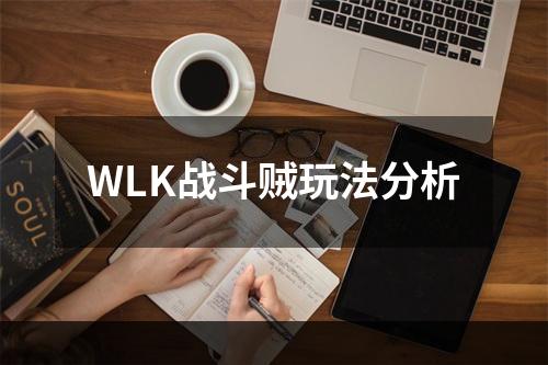 WLK战斗贼玩法分析