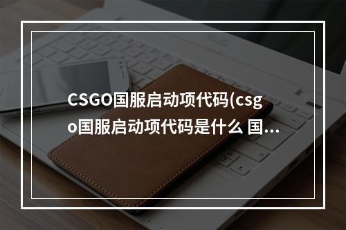 CSGO国服启动项代码(csgo国服启动项代码是什么 国服启动项代码分享  )