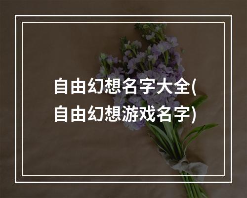 自由幻想名字大全(自由幻想游戏名字)