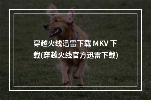 穿越火线迅雷下载 MKV 下载(穿越火线官方迅雷下载)