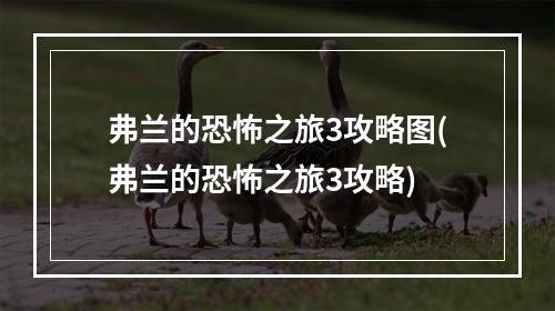 弗兰的恐怖之旅3攻略图(弗兰的恐怖之旅3攻略)