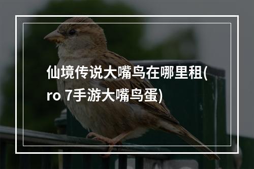 仙境传说大嘴鸟在哪里租(ro 7手游大嘴鸟蛋)