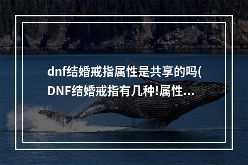 dnf结婚戒指属性是共享的吗(DNF结婚戒指有几种!属性数值及升级券分别介绍)