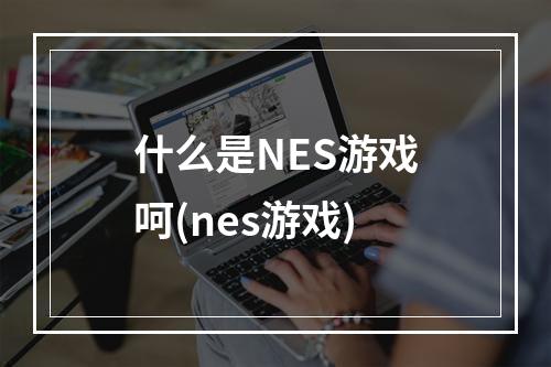 什么是NES游戏呵(nes游戏)