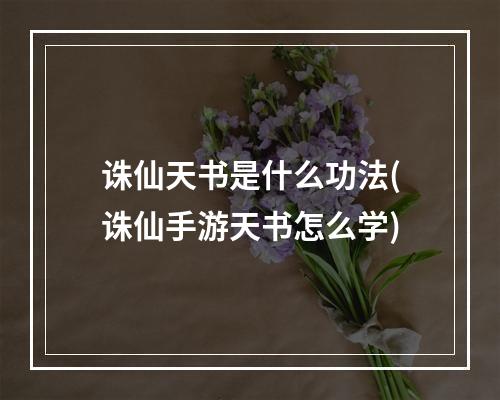 诛仙天书是什么功法(诛仙手游天书怎么学)