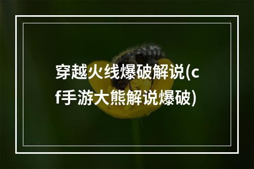 穿越火线爆破解说(cf手游大熊解说爆破)