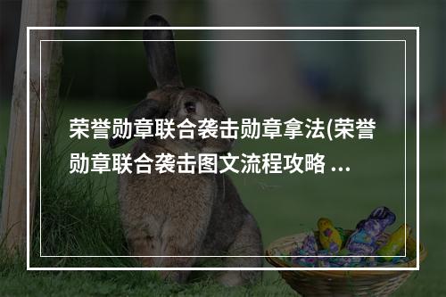 荣誉勋章联合袭击勋章拿法(荣誉勋章联合袭击图文流程攻略  操作介绍)