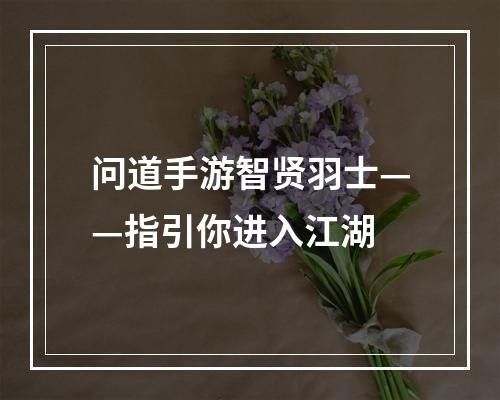 问道手游智贤羽士——指引你进入江湖