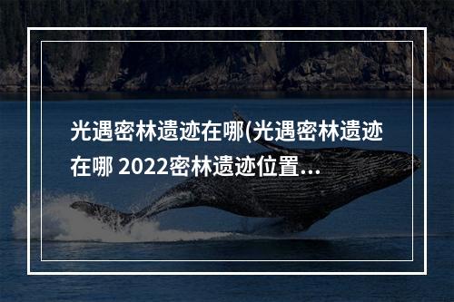 光遇密林遗迹在哪(光遇密林遗迹在哪 2022密林遗迹位置详解 光遇 机游 )