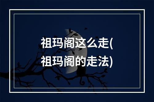 祖玛阁这么走(祖玛阁的走法)