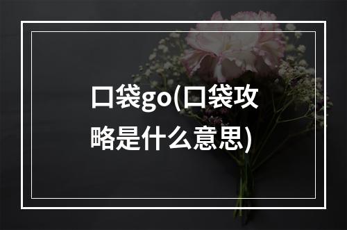 口袋go(口袋攻略是什么意思)