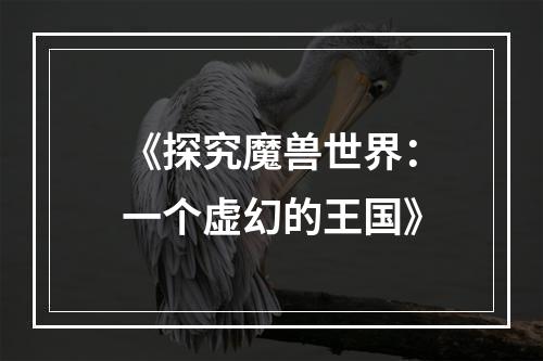 《探究魔兽世界：一个虚幻的王国》