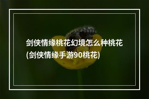 剑侠情缘桃花幻境怎么种桃花(剑侠情缘手游90桃花)