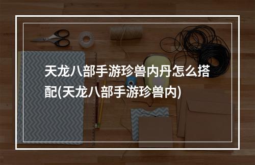 天龙八部手游珍兽内丹怎么搭配(天龙八部手游珍兽内)