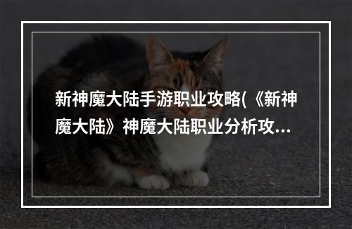 新神魔大陆手游职业攻略(《新神魔大陆》神魔大陆职业分析攻略，新神魔大陆职业)