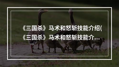 《三国杀》马术和怒斩技能介绍(《三国杀》马术和怒斩技能介绍 )