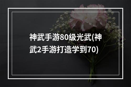 神武手游80级光武(神武2手游打造学到70)