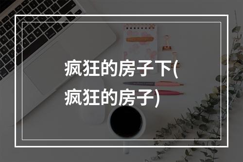 疯狂的房子下(疯狂的房子)