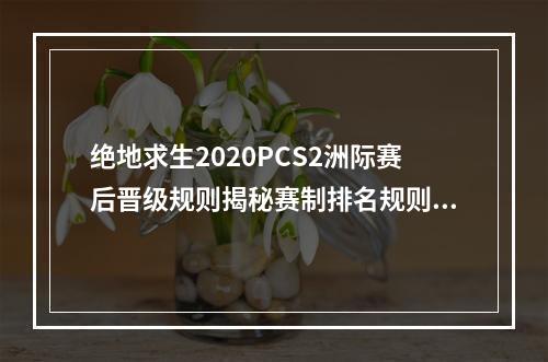 绝地求生2020PCS2洲际赛后晋级规则揭秘赛制排名规则和升降级制度