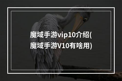 魔域手游vip10介绍(魔域手游V10有啥用)