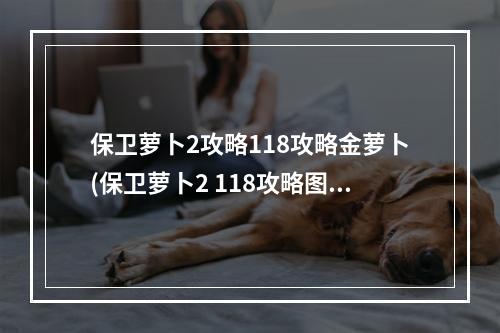 保卫萝卜2攻略118攻略金萝卜(保卫萝卜2 118攻略图解)